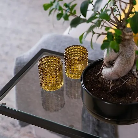 Romantic Lemon Grove With Private Pool - Oporto Lemon Farm, Near Porto Casa de Férias Valpedre