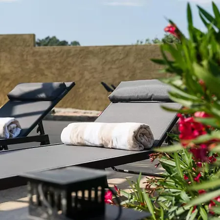 Casa de Férias Romantic Lemon Grove With Private Pool - Oporto Lemon Farm, Near Porto *