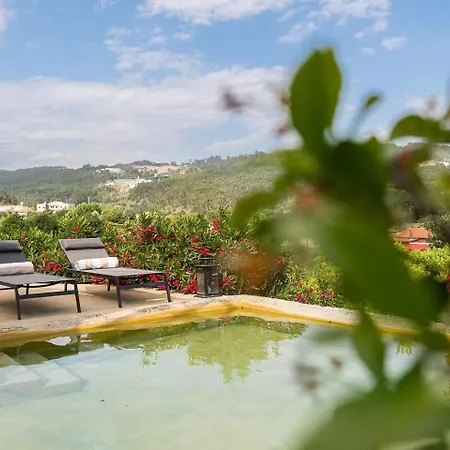 Romantic Lemon Grove With Private Pool - Oporto Lemon Farm, Near Porto