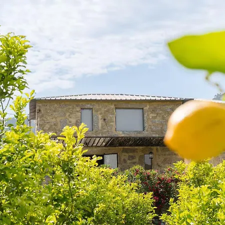 Romantic Lemon Grove With Private Pool - Oporto Lemon Farm, Near Porto