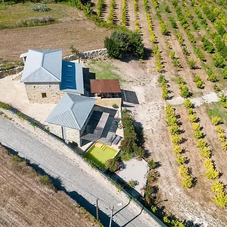 Romantic Lemon Grove With Private Pool - Oporto Lemon Farm, Near Porto