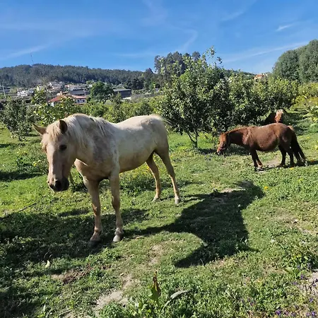 Casa de Férias Romantic Lemon Grove With Private Pool - Oporto Lemon Farm, Near Porto