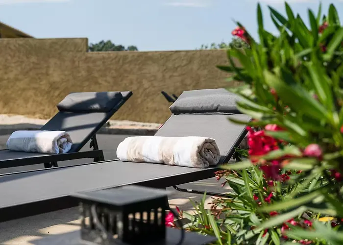 Casa vacanze Romantic Lemon Grove With Private Pool - Oporto Lemon Farm, Near Porto *