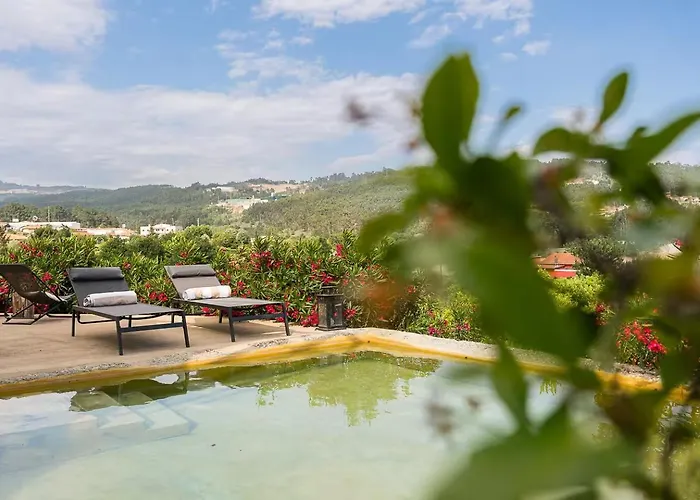 Romantic Lemon Grove With Private Pool - Oporto Lemon Farm, Near Porto