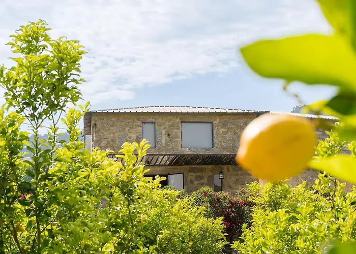 Romantic Lemon Grove With Private Pool - Oporto Lemon Farm, Near Porto