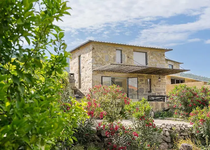 Casa vacanze Romantic Lemon Grove With Private Pool - Oporto Lemon Farm, Near Porto