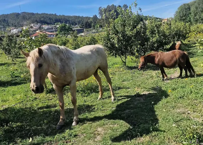Casa vacanze Romantic Lemon Grove With Private Pool - Oporto Lemon Farm, Near Porto